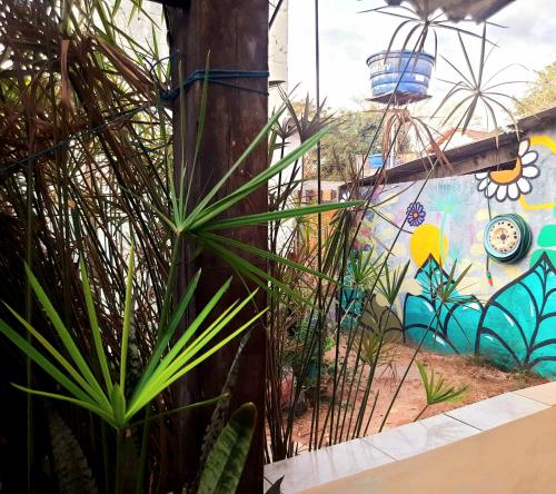 Κήπος έξω από το Hospedagem Jabuti Kitnet no Centro de São Jorge