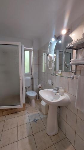 a bathroom with a sink and a toilet and a mirror at Vila Ana-Maria in Sinaia