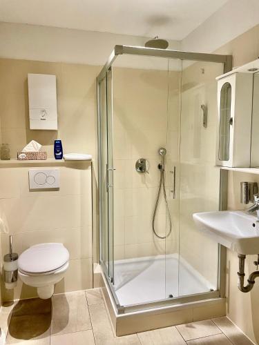 een badkamer met een douche, een toilet en een wastafel bij Comfort Apartment in Keulen