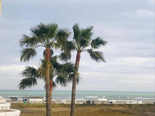 Torremolinos Los Alamos Beach Malaga VUTMA63286