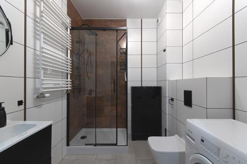 Zajezdnia Comfort Studio في فروتسواف: حمام مع دش ومرحاض ومغسلة