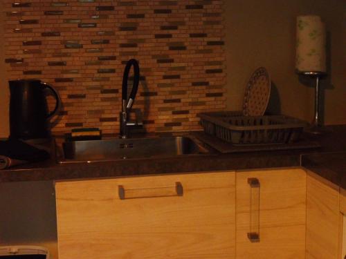 eine Küche mit Spüle und Ziegelwand in der Unterkunft Gure Doya in Billère