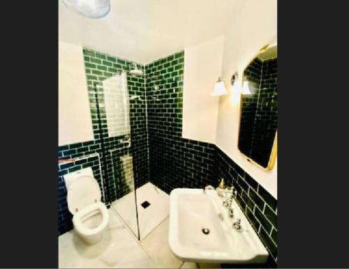 La salle de bains est pourvue de toilettes et d'un lavabo. dans l'établissement Luxury one bedroom flat with Terrace&Parking-51b, à Luxembourg