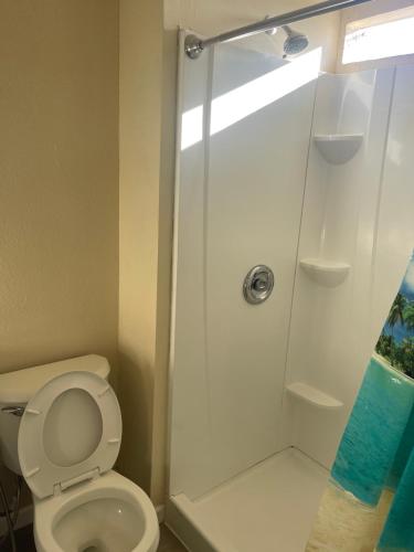 a bathroom with a toilet and a shower at The view in kau in Hawaiian Ocean View