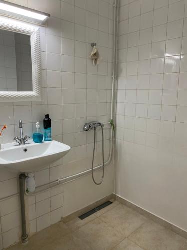 W łazience znajduje się prysznic i umywalka. w obiekcie Résidence sassi w mieście Nabul