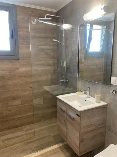 a bathroom with a sink and a glass shower at Apolithon Premium Houses in Sígrion