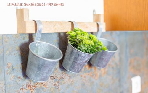 three potted plants in metal buckets on a wall at Le Passage in Carcassonne