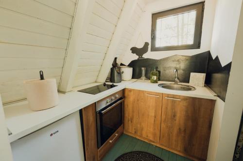 eine kleine Küche mit einer Spüle und einem Herd in der Unterkunft Kuća za odmor Vrdnik in Vrdnik