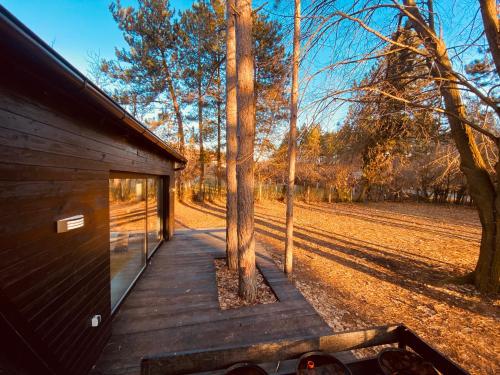 a wooden deck next to a cabin in the woods at Kuća za odmor Vrdnik in Vrdnik