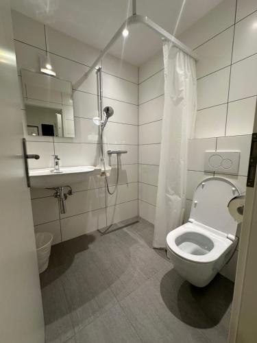 La salle de bains est pourvue de toilettes, d'une douche et d'un lavabo. dans l'établissement Hotel Restaurant Krebs, à Granges