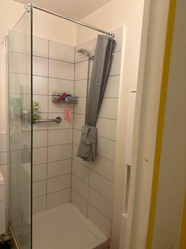 a bathroom with a shower with a glass door at DLTA Hote in Torcy