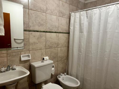 a bathroom with a toilet and a sink and a mirror at Amancay, hostal patagonico in El Calafate