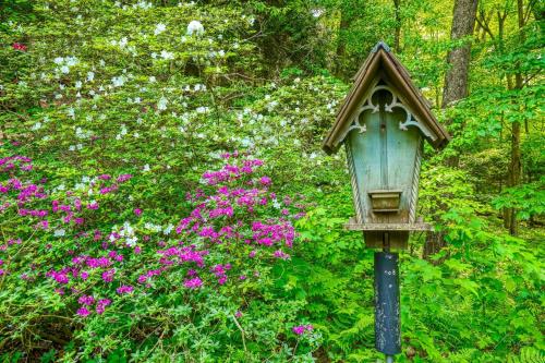 a bird house on a pole in front of flowers at Mercer House in Logan