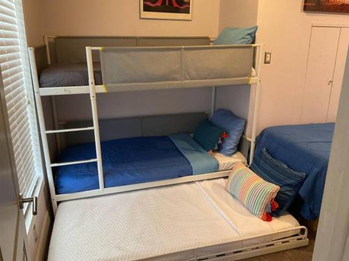 Cette chambre comprend 2 lits superposés dotés d'oreillers bleus. dans l'établissement Spacious Ranch 7 min to beach/ airport Pet friend, à Melbourne