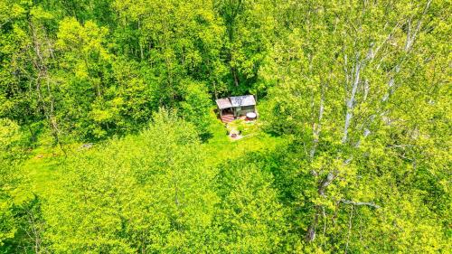 an overhead view of a house in the middle of a forest at Cypres Caban in Logan