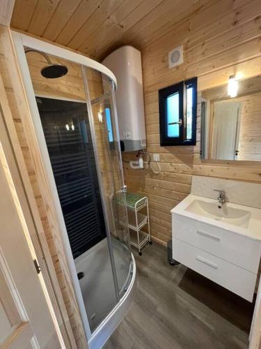 une salle de bain avec douche et lavabo dans l'établissement Le petit Levant, à Saint-Pal-de-Mons