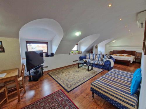 uma sala de estar com um sofá, uma televisão e uma cama em Studio Karlův Most em Praga
