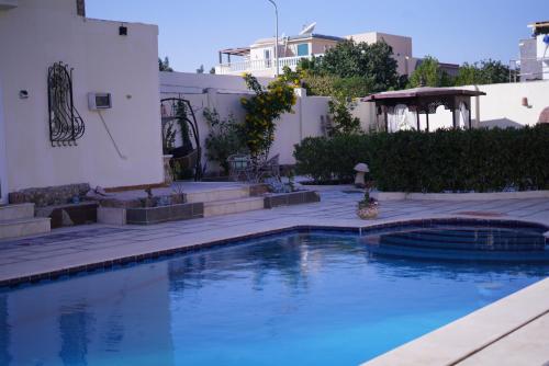 a swimming pool in the backyard of a house at Alis Villa in Hurghada