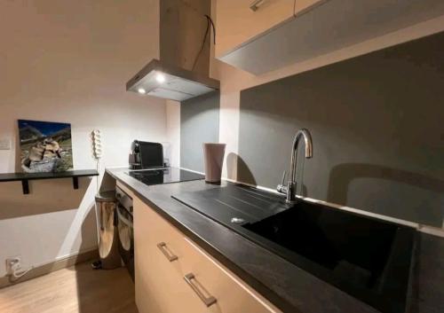 une cuisine avec un évier et un plan de travail dans l'établissement APPARTEMENT IDÉALEMENT SITUE - DISNEYLAND PARIS, à Serris