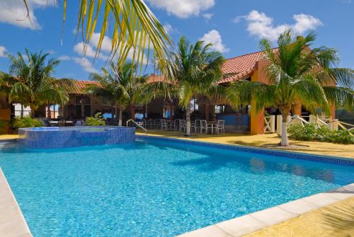 a swimming pool in front of a house with palm trees at Sand Dollar Bonaire in Kralendijk