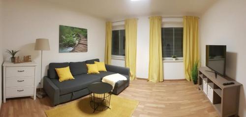 Top Appartement für Business-Wohnen-Urlaub في وينر نويشتاد: غرفة معيشة بها أريكة وتلفزيون