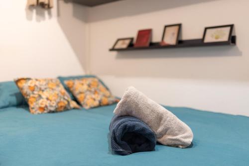 Studio cosy Toulouse centre