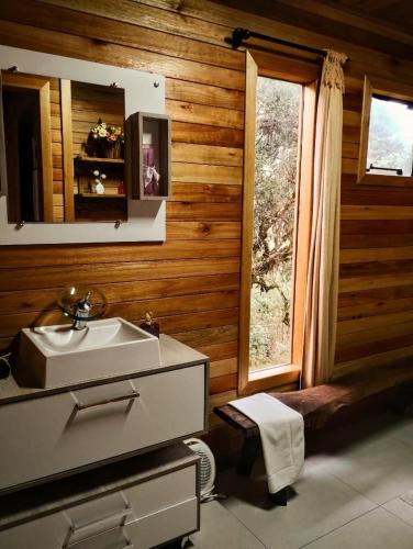 烏魯比西的住宿－Casa em Urubici Sítio Pássaro D'água，一间带水槽和窗户的浴室
