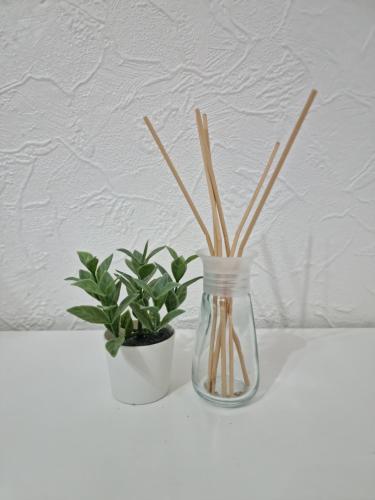 two plants in a glass jar and a vase with sticks at Modern 3 bedroom house, 3 Bathroom, secure parking, Wi-Fi & Garden in Leeds