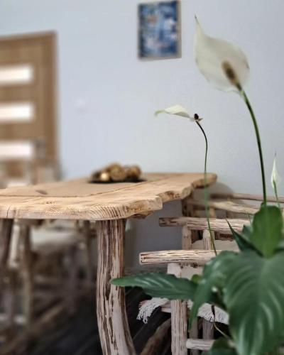 Fotografie z fotogalerie ubytování Apartman Maximus v destinaci Kupres