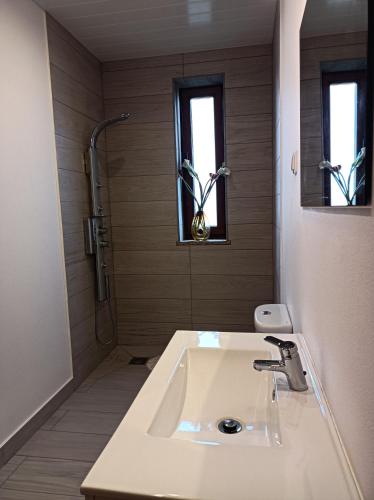 baño con lavabo y ducha con 2 ventanas en Fraga`s House - Douro e Natureza en Coura