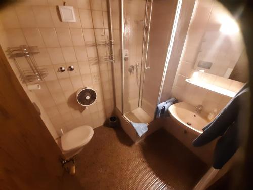ein Bad mit einer Dusche, einem WC und einem Waschbecken in der Unterkunft Gasthof Keller Merdingen in Merdingen