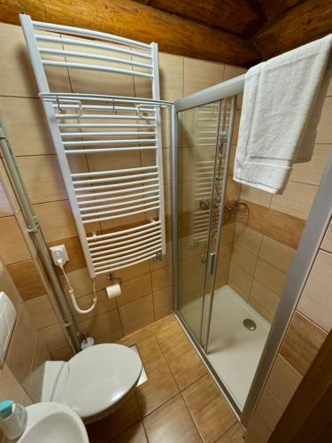 a bathroom with a shower and a toilet at Drevenica Donovaly in Donovaly