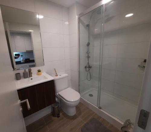 La salle de bains est pourvue d'une douche, de toilettes et d'un lavabo. dans l'établissement Departamento en Valdivia., à Valdivia