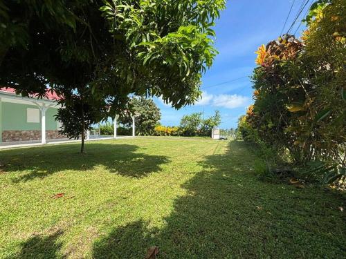 a yard with a tree in the middle of it at Le pain de sucre maison de campagne sainte marie in Sainte-Marie
