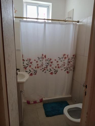 a bathroom with a shower curtain with a toilet at depto pleno centro a 3 cuadras del mar in Mar del Plata