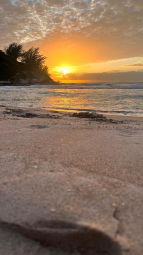 Praia da Ferrugem – Photos 3