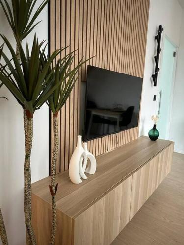 Una televisión o centro de entretenimiento en Magnifique duplex