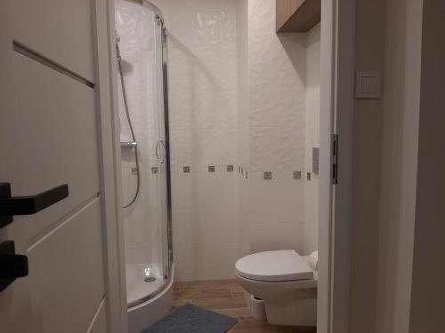 a white bathroom with a shower and a toilet at Apartament Wenecja in Grudziądz