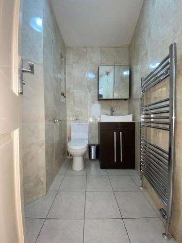 a bathroom with a toilet and a sink and a shower at Lovely one bedroom garden flat in Hendon in The Hyde