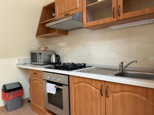 a kitchen with a sink and a stove at Salve Teplice in Teplice