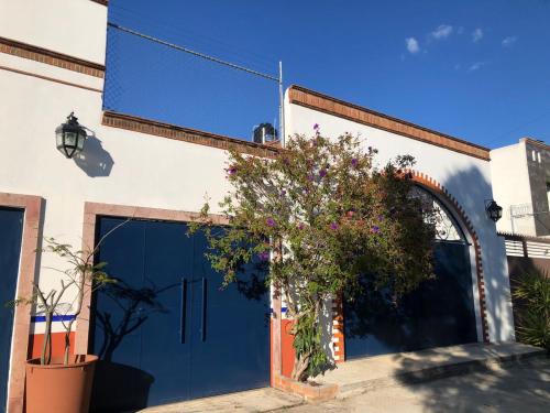 uma porta de garagem azul com uma planta em frente em Departamentos em Morelia