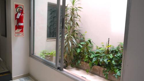 a window with a bunch of plants at Hotel Athos in Buenos Aires