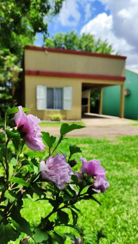 Giardino di Alojamiento Dimar