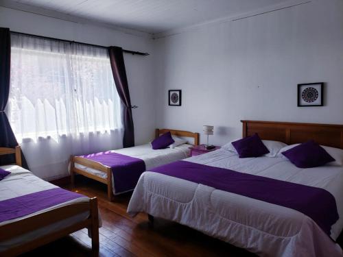 Habitación de hotel con 2 camas y ventana en Hostal Arrayan, en Valdivia