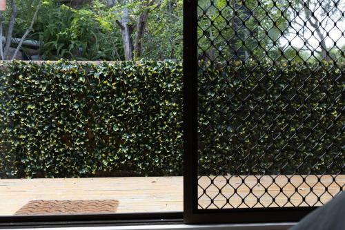 a window view of a hedge behind a fence at Peaceful Studio Close to shops, motorway, national forest & koalas! in Tanah Merah