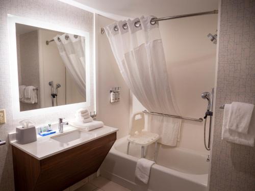 y baño con bañera, lavamanos y ducha. en Holiday Inn Express & Suites I-85 Greenville Airport, an IHG Hotel, en Greenville