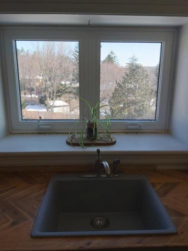 a kitchen sink in front of a window with a plant at 2 bedroom apartment in historical home in Barrie