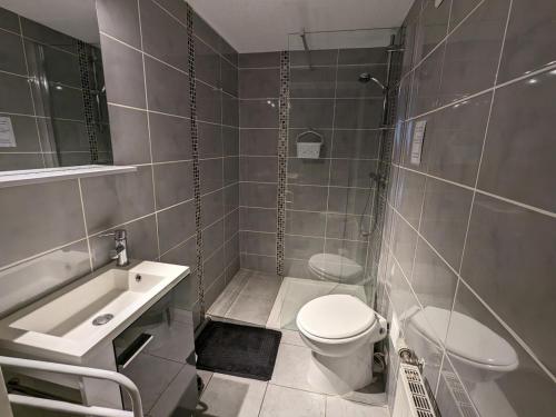 SercoeurにあるGîte ensoleillé idéal pour couples - Proche d'Épinal avec terrasse et Wifi - FR-1-589-613のトイレと洗面台のある小さなバスルーム