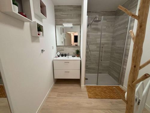 une salle de bain avec douche et lavabo dans l'établissement Appartement calme, jardin, 4 pers, Proche plage et commerces, Parking, Normes Handicapés - FR-1-494-167, à Royan