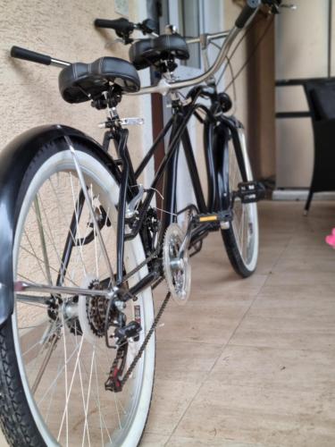 Jízda na kole v ubytování Apartman BARBARA nebo okolí